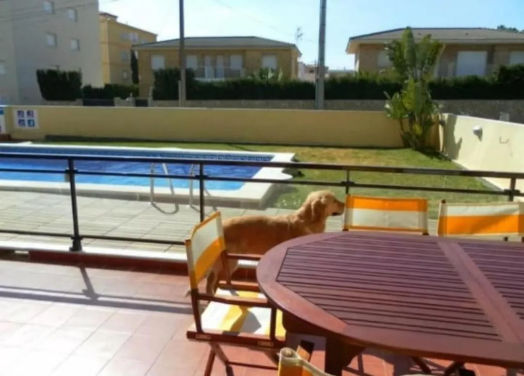 Apartamento Con Terraza Y Acceso Directo A La Piscina Y A 50 M De La Playa Miami Platja  0*, Miami Platja (Miami Playa)